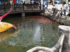 -华夏文旅海洋公园