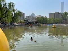 -团结湖公园
