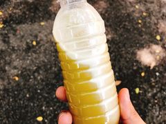 -黄埔军校旧址纪念馆