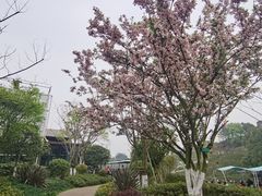 -黄龙溪欢乐田园