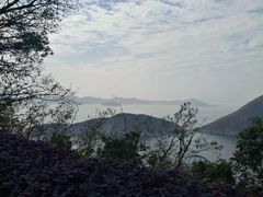 -香港海洋公园