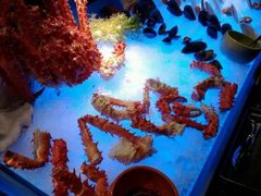 -广州花园酒店-凌璇阁360度高空海鲜自助餐CAROUSEL