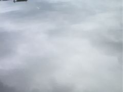 -传统手工面