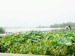 -永定河休闲森林公园