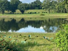 -福建鲤鱼洲酒店