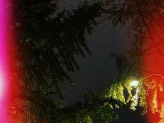 -四川大学(望江校区)
