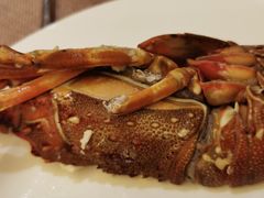 -艺厨风尚餐厅 · 桔钓沙莱华度假酒店