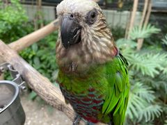 -南宫五洲植物乐园