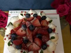 -维尔纳斯·生日蛋糕动物奶油冰淇淋蛋糕(人大店)