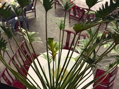 -蔼若春.传承云南菜(金碧公园店)