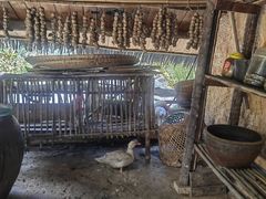 -海南槟榔谷黎苗文化旅游区