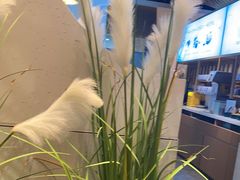 -蜜桃餐厅·伴山(绿宝广场店)