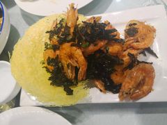 -邵年鸽(杨庄店)