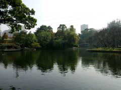 -晓港公园