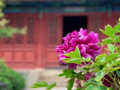 -大钟寺古钟博物馆