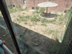 -新疆天山野生动物园