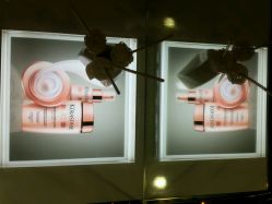 android_upload_pic-PIONEER·韩式