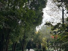 -陈麻婆豆腐(旗舰店)