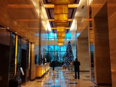 -上海龙之梦万丽酒店