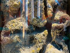 -浙江自然博物院(杭州馆)
