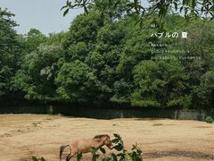 -杭州野生动物世界