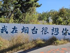 -海岛日记(养马岛店)