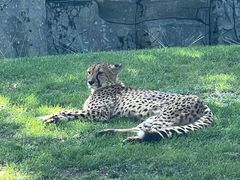 -北京野生动物园