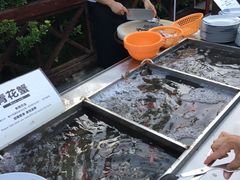 -渔家火锅·海鲜自助餐·演艺(亚龙湾天域酒店)