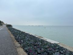 -贡湖湾湿地公园
