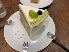 -猫里有甜