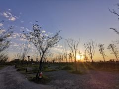 -南汇嘴观海公园