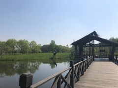 -溱湖国家湿地公园