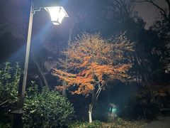 -吴山景区