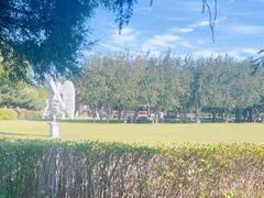 -中央广播电视塔