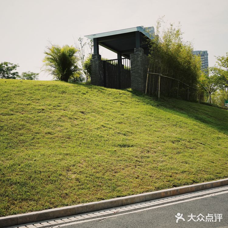 广州公园｜这几年，天河公园变化太大了！