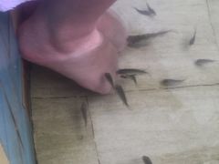 -江门古兜温泉小镇