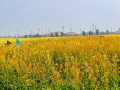 -中国天府农业博览园