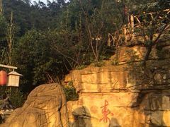 iphone_upload_pic-老幺泉水鸡