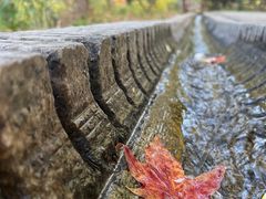 -香山公园