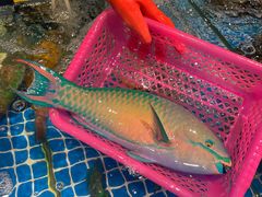 -三亚火车头万人海鲜广场