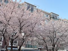 -上海吴淞炮台湾国家湿地公园
