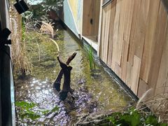 -邈墨茶馆(凤起路店)