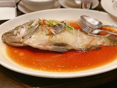 -环球港凯悦 · 享悦中餐厅