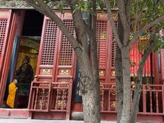 -洛阳白马寺