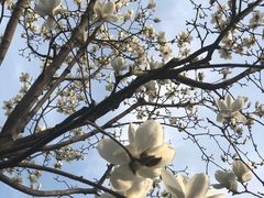 -虹桥机场V2贵宾休息室