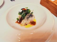 -蝶舍·MAISON PAPILLON