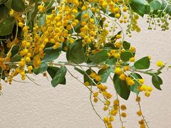 -名点荟·生日蛋糕·下午茶(五缘湾店)