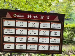 -桂林古东瀑布景区