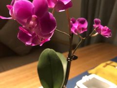 -瓦舍茶馆(聚源路店)