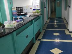 -上海大学附属上海和平眼科医院